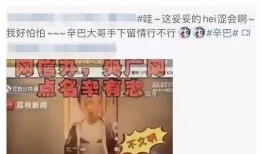 最新爆料的辛巴视频,揭秘背后惊人真相！